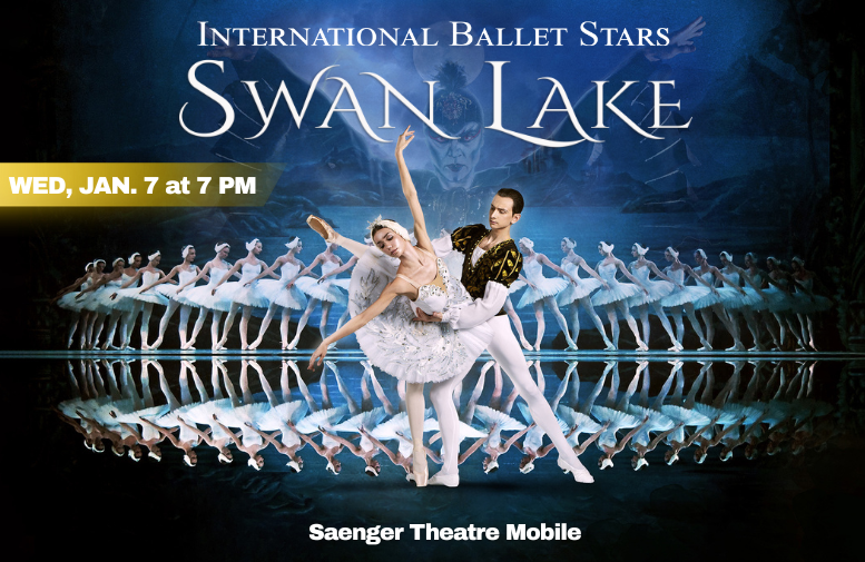 More Info for Swan Lake 